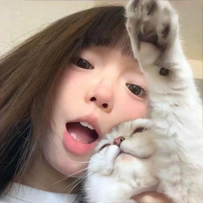 复仇岛