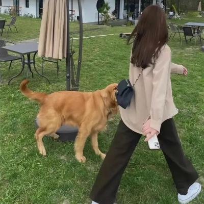 首尔假期