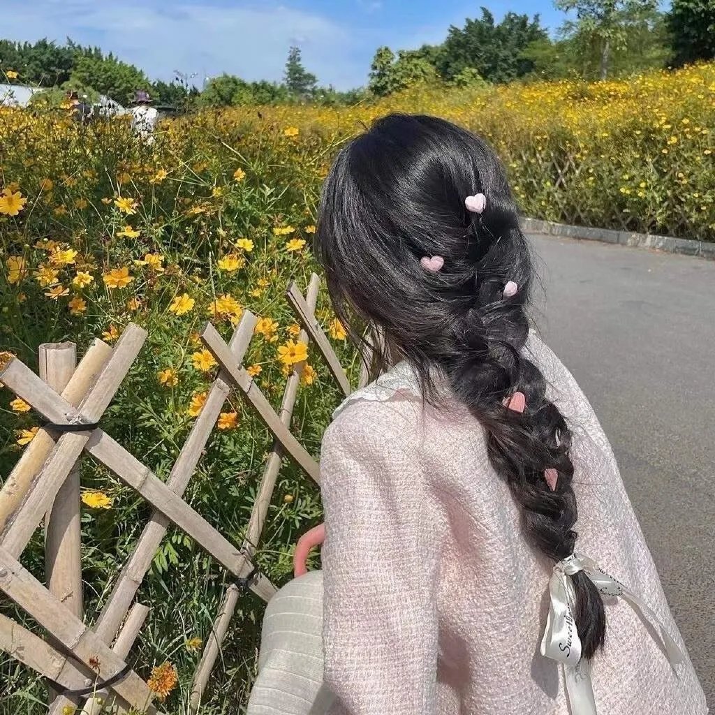 茄子 安达鲁西亚之夏